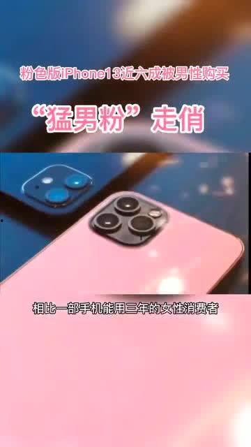 苹果13手机套最新爆料,设计革新与实用功能一网打尽！  第1张